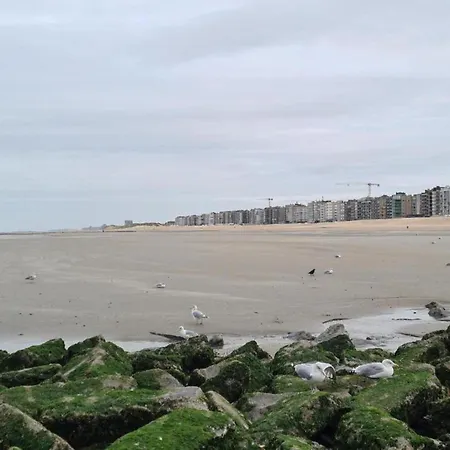 Apartment Palmas 501 Spacious With Sea Views Koksijde